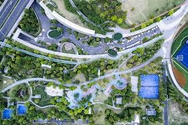 什么是“盘口共识”？当所有人都同意时最危险。（盘口共识为何可怕：人人同意的时刻最危险）